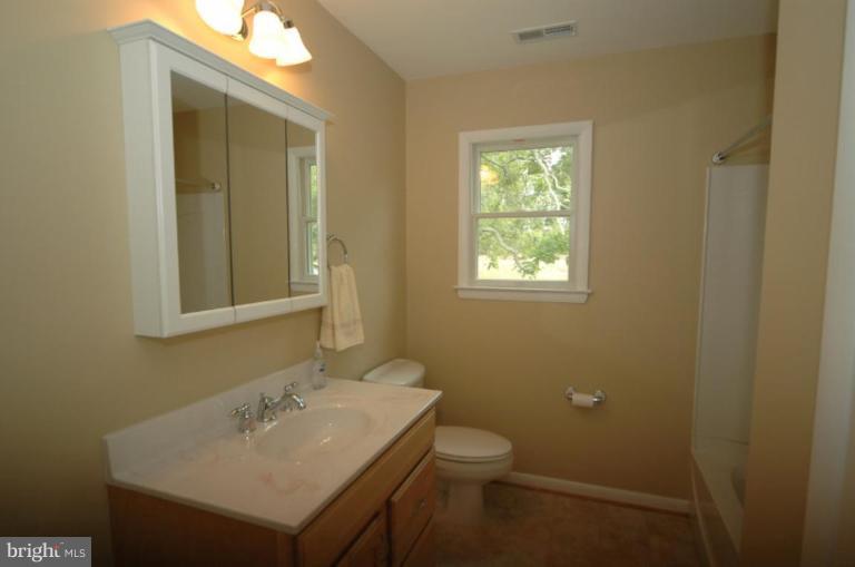 40264 Braddock Road Aldie, VA 20105 - Photo 8 of 19 Hall bath