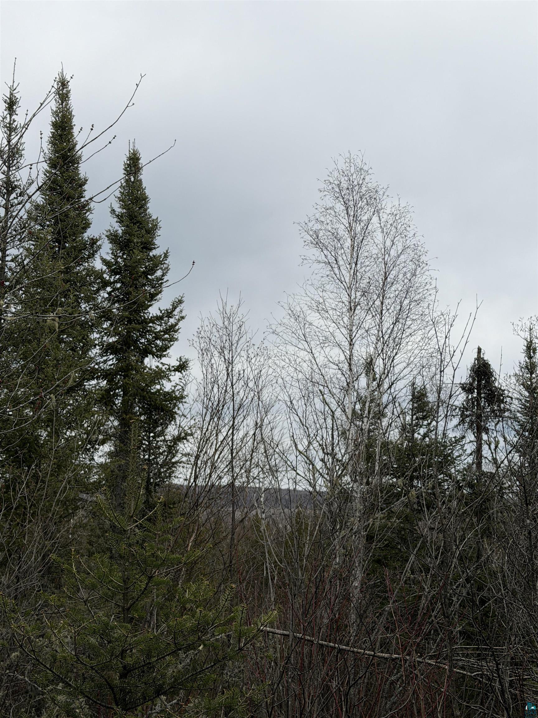 Xx South Lost Lake Road Grand Marais, MN 55604 - Photo 3 of 14 View of surrounding hills from high area