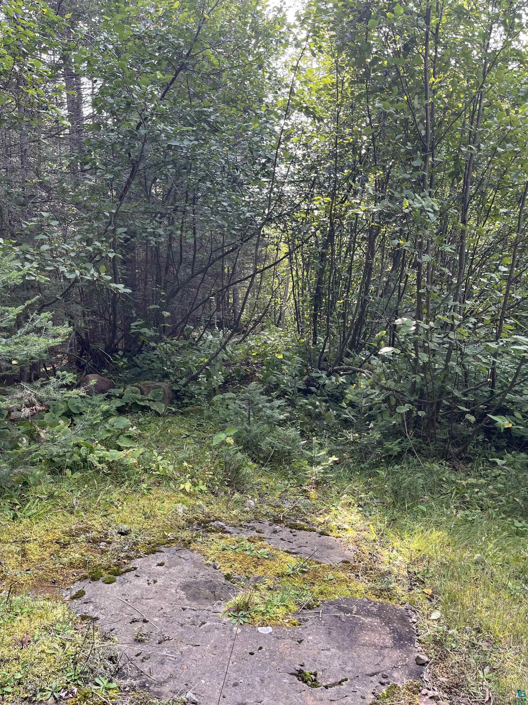 Xx South Lost Lake Road Grand Marais, MN 55604 - Photo 7 of 7