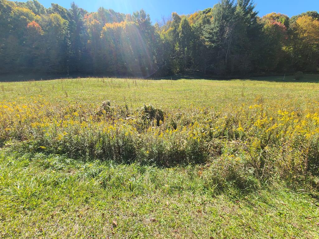 Tbd Whitetop Road Whitetop, VA 24292 - Photo 6 of 23 Gallery Image 6