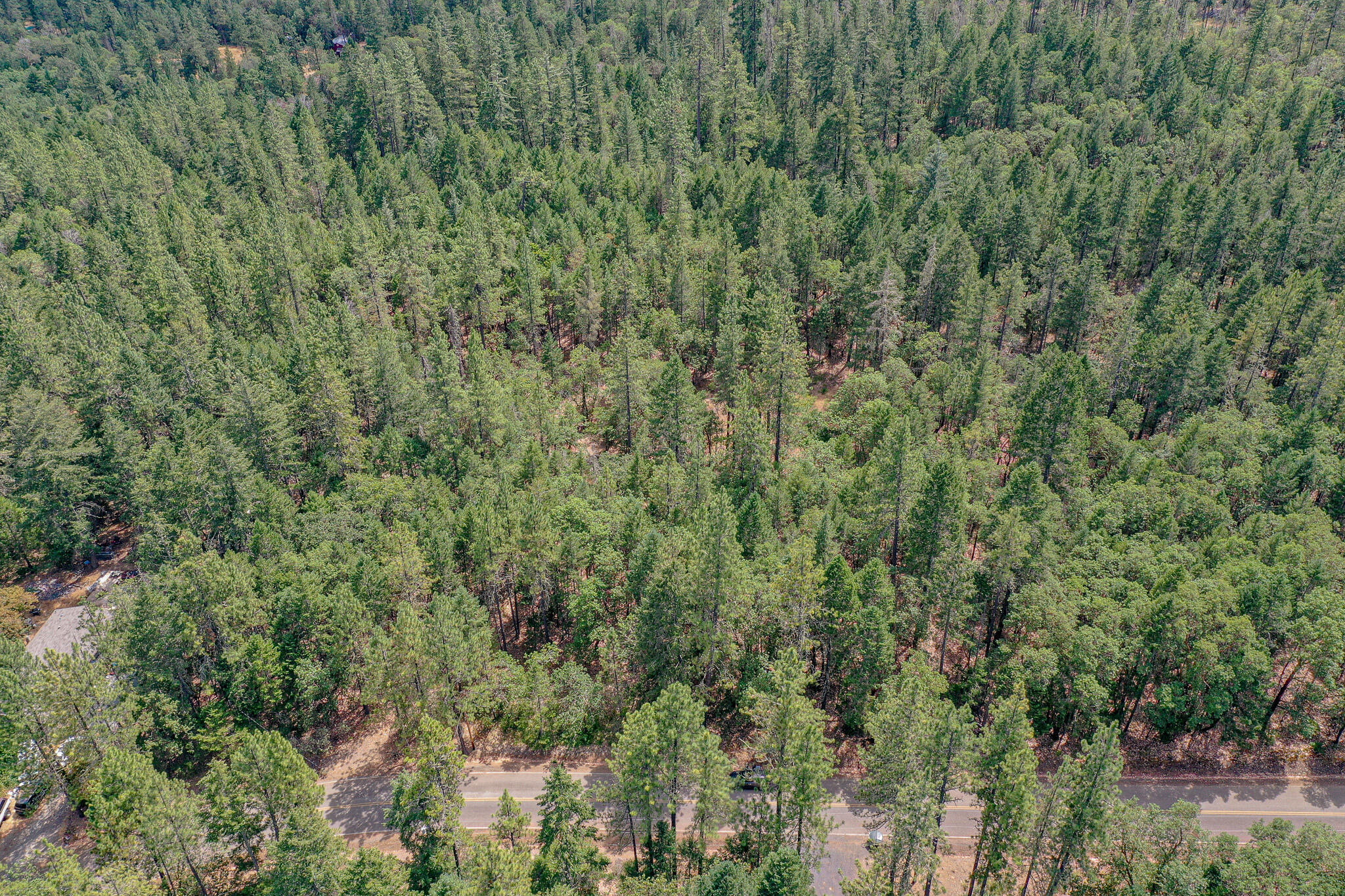 0 Fields Road Williams, OR 97544 - Photo 18 of 21 DJI_0273