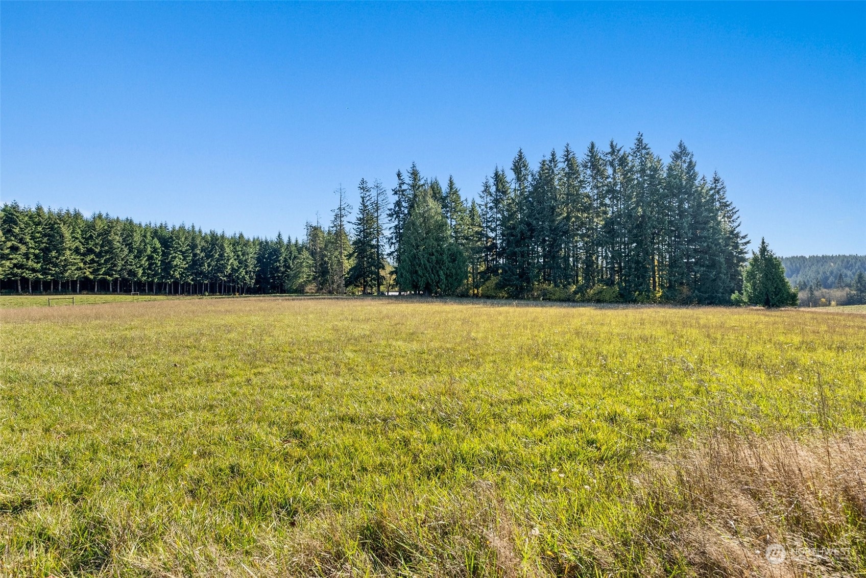 10529 Lundeen Road Southwest Rochester, WA 98579 - Photo 19 of 35