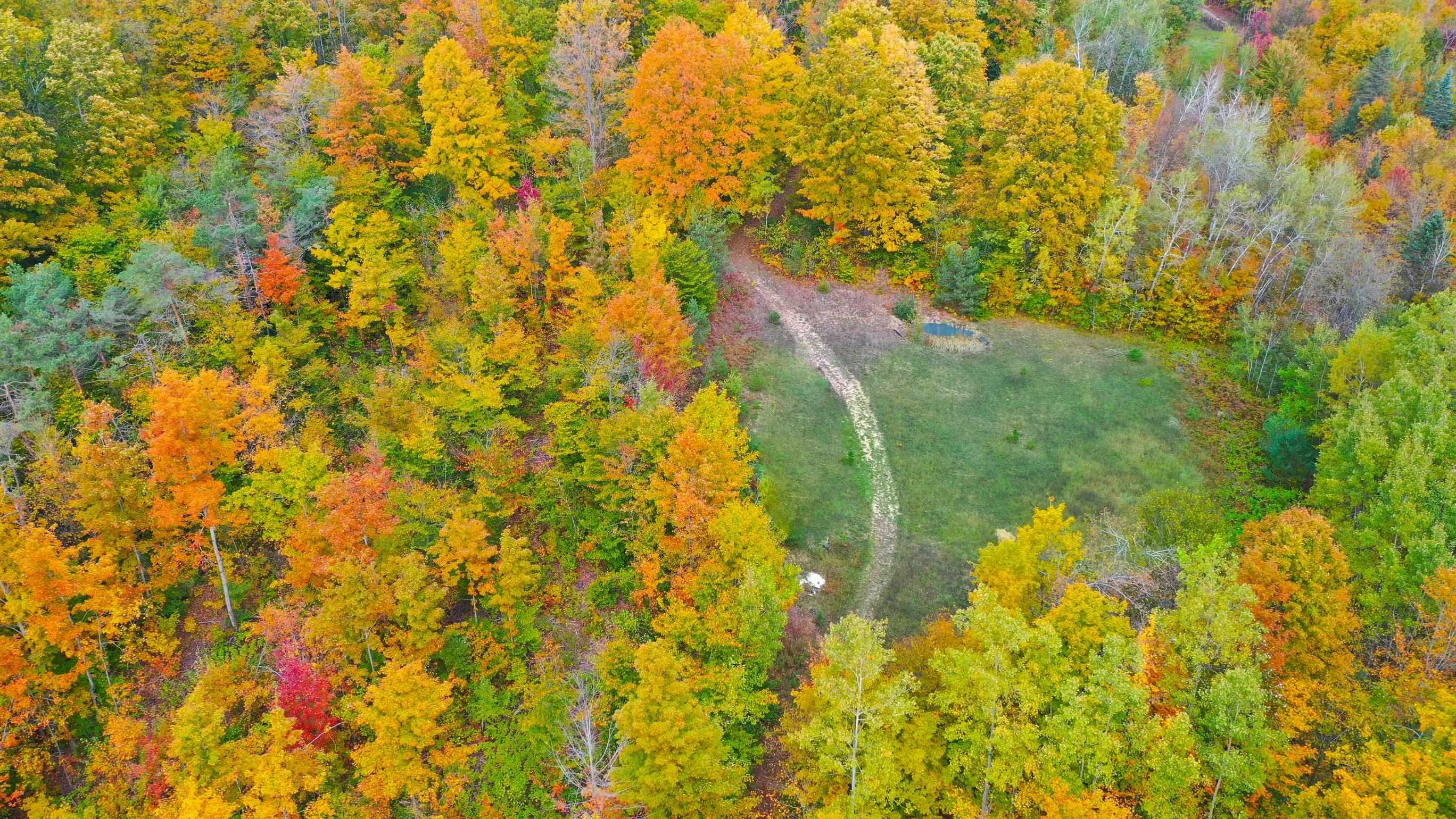 5391 Scholl Road Mancelona, MI 49659 - Photo 39 of 40