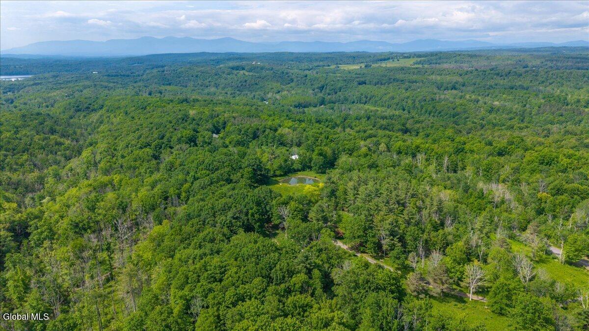9 Gibson Road Westerlo, NY 12193 - Photo 53 of 56 56-gibson-15