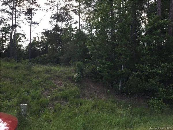 $119,400 | 0 Small Oaks Road, Leesville, LA 71446