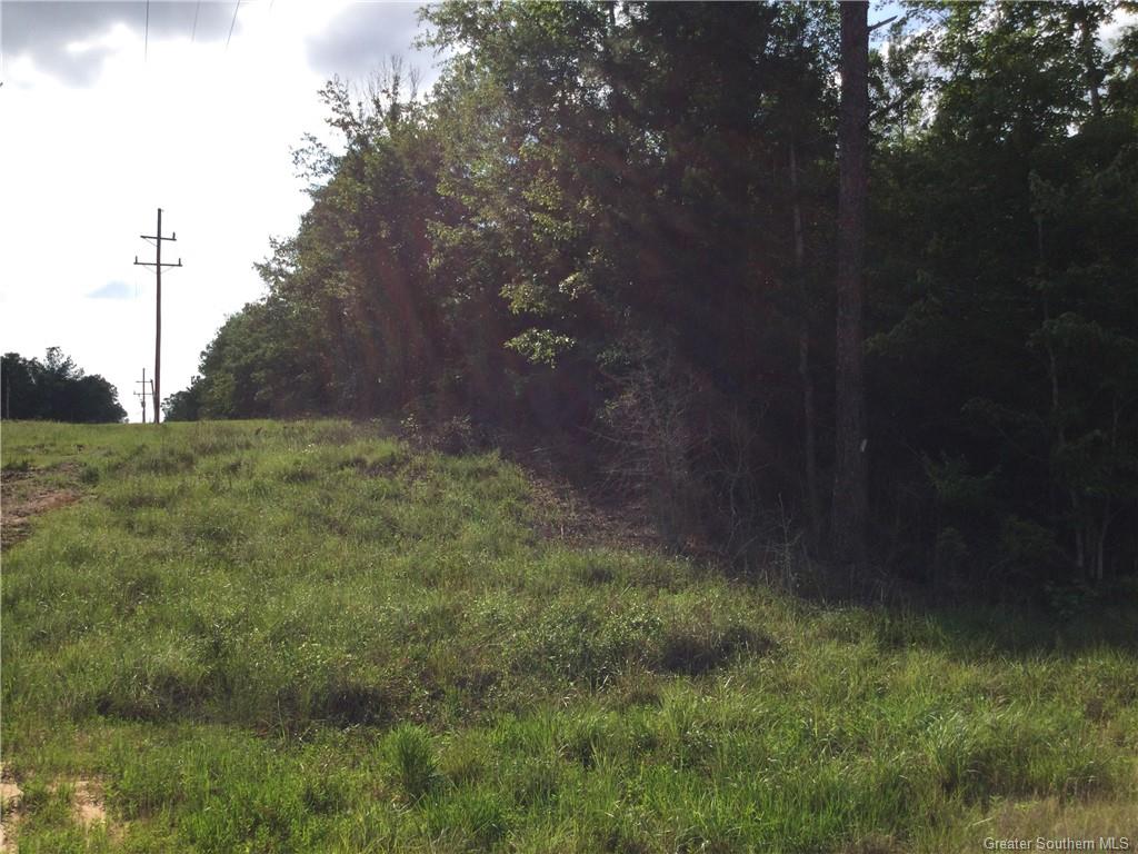 0 Small Oaks Road Leesville, LA 71446 - Photo 2 of 2