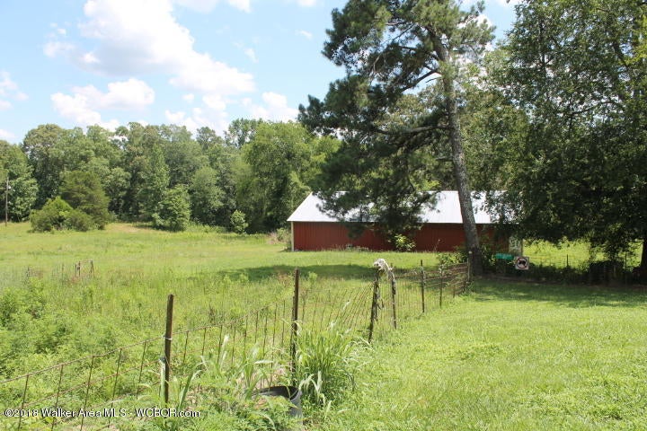 2892 Sipsey Road Jasper, AL 35504 - Photo 9 of 33 Gallery Image 9