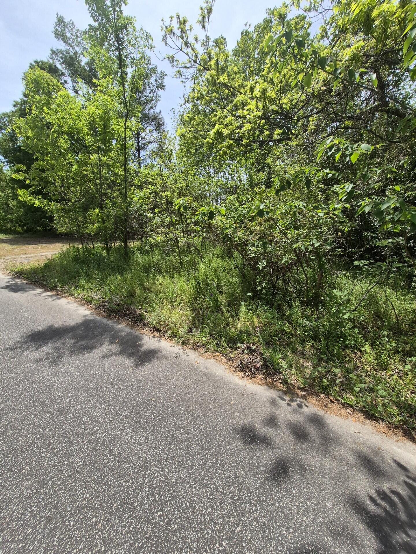 15 Liberty Street Mayesville, SC 29104 - Photo 10 of 10