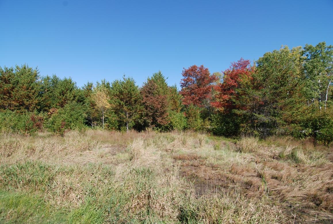 L12-b1 Meadow Court Baxter, MN 56425 - Photo 1 of 15