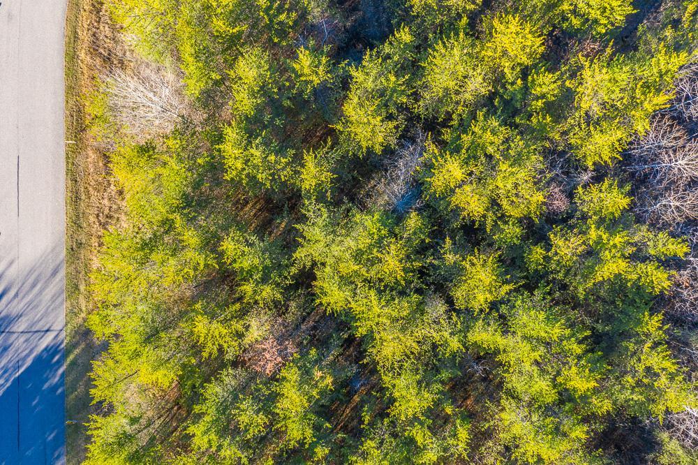 L12-b1 Meadow Court Baxter, MN 56425 - Photo 12 of 15