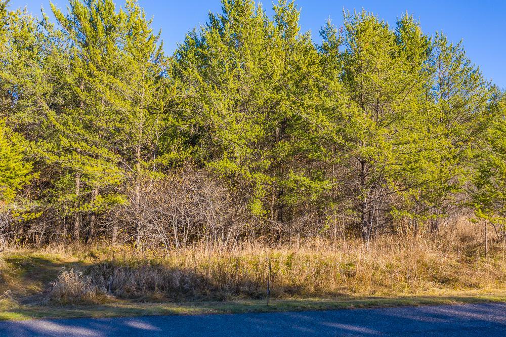 L12-b1 Meadow Court Baxter, MN 56425 - Photo 5 of 15