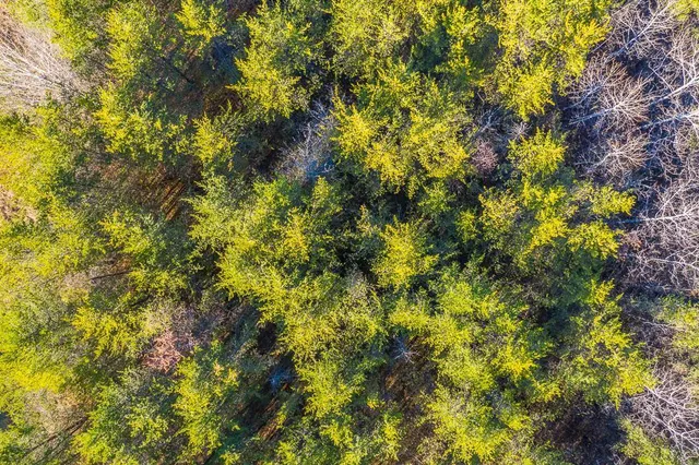 $19,500 | L12-b1 Meadow Court, Baxter, MN 56425