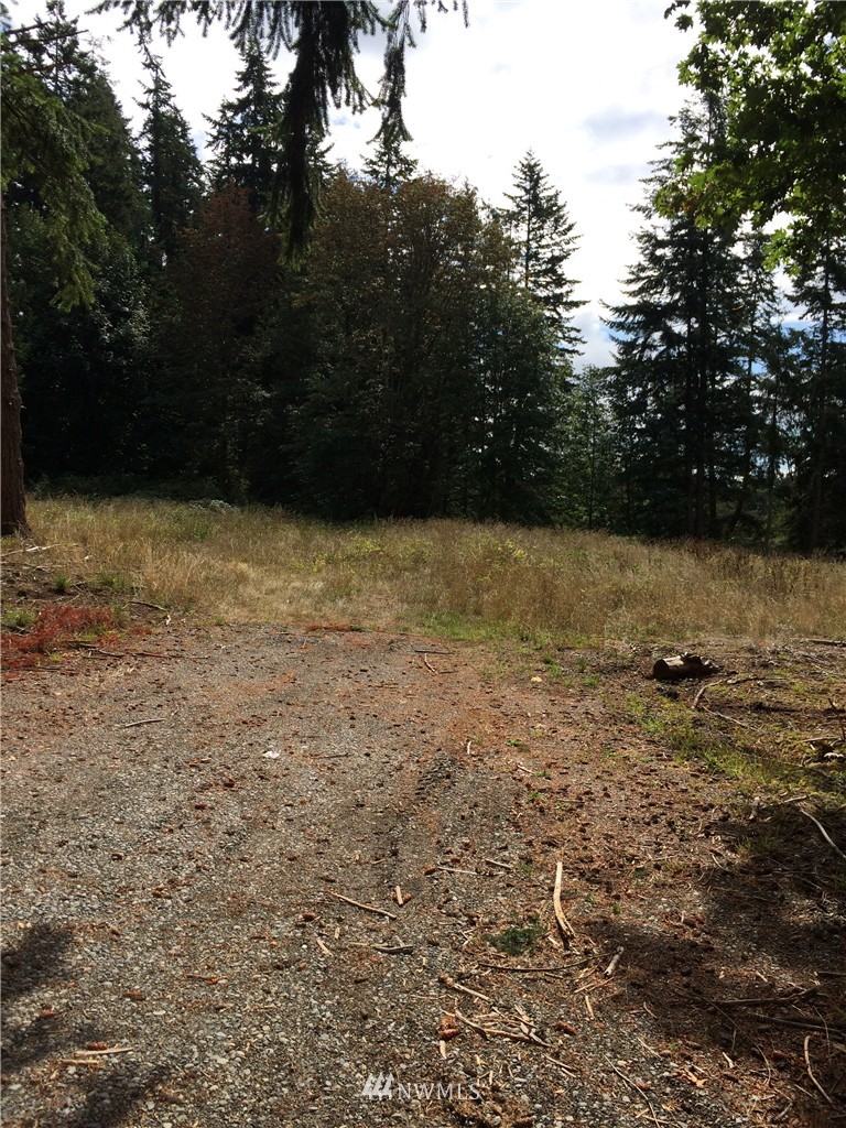 2812 Grimm Road Langley, WA 98260 - Photo 1 of 7 Gallery Image 1
