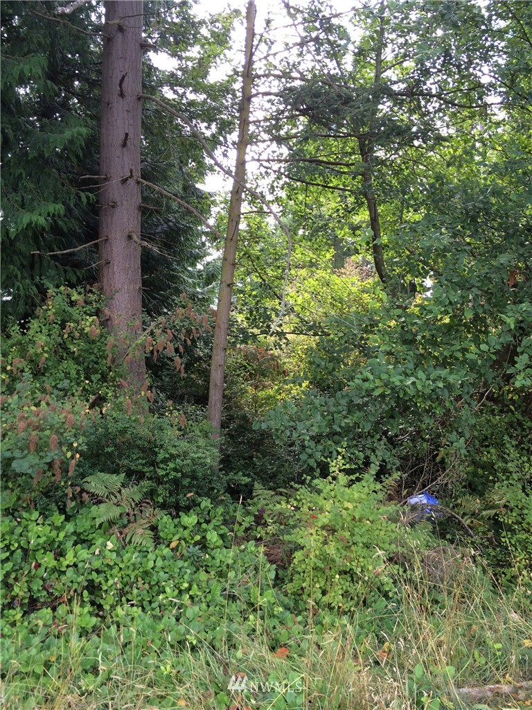 2812 Grimm Road Langley, WA 98260 - Photo 6 of 7 Gallery Image 6