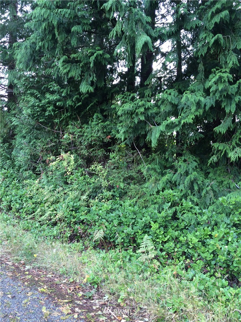 2812 Grimm Road Langley, WA 98260 - Photo 7 of 7 Gallery Image 7