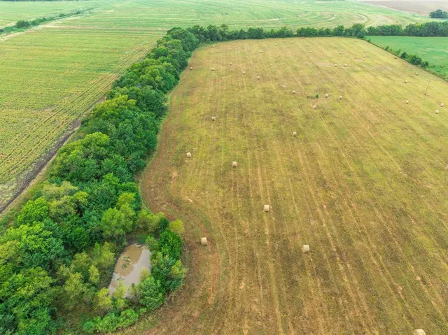 a view of a swimming pool with an outdoor space