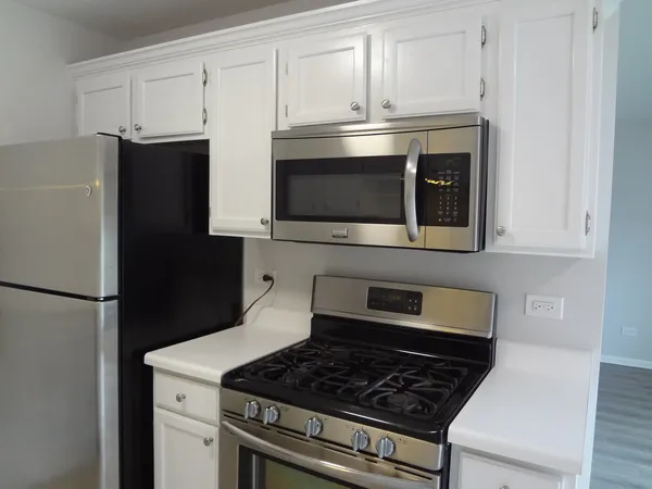 $1,950 | 220 Brett Circle, Unit B, Wauconda, IL 60084