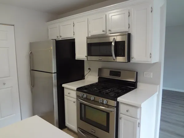 $1,950 | 220 Brett Circle, Unit B, Wauconda, IL 60084