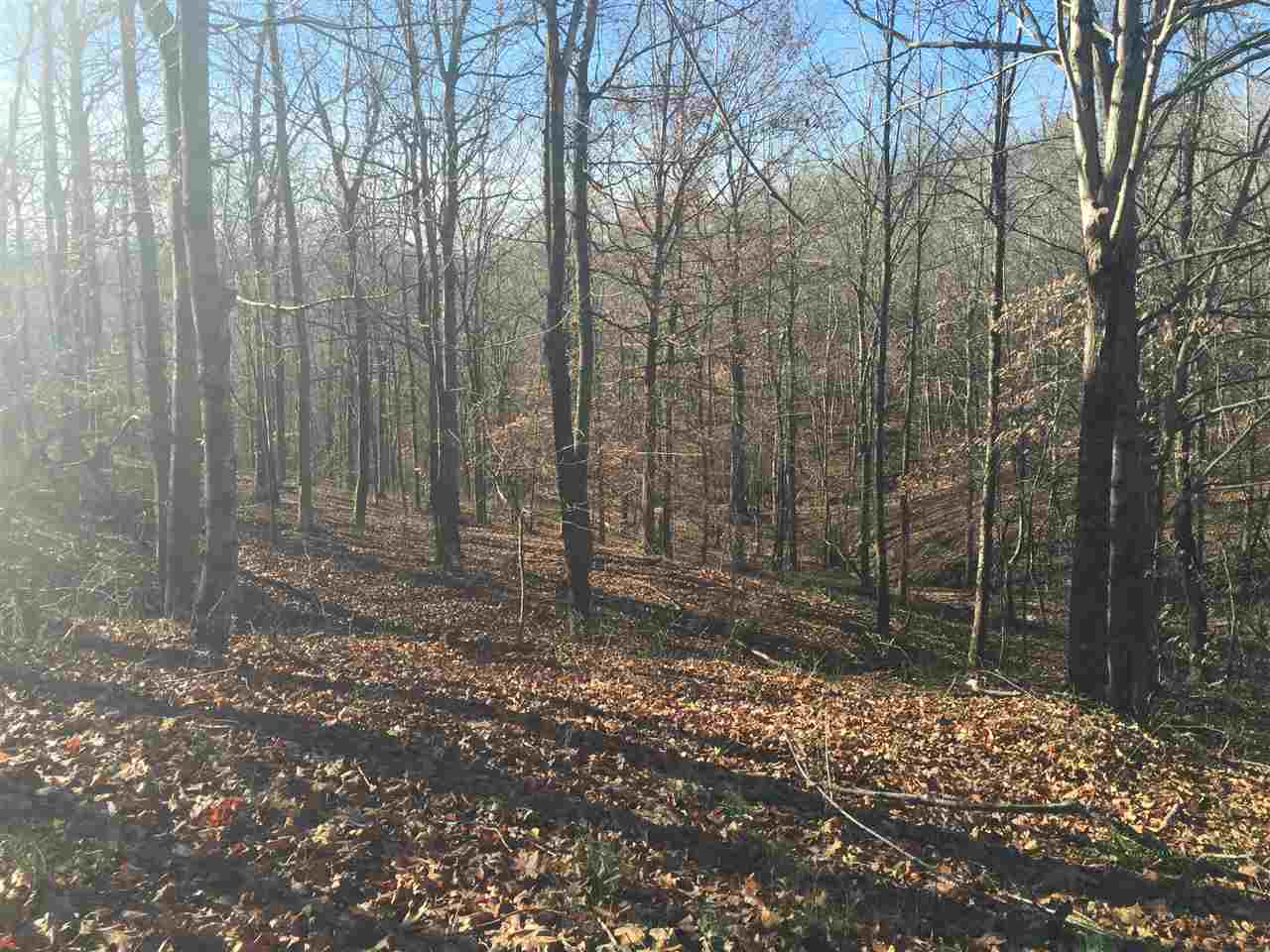 0 Watershed Road Millwood, KY 42762 - Photo 2 of 8 Gallery Image 2