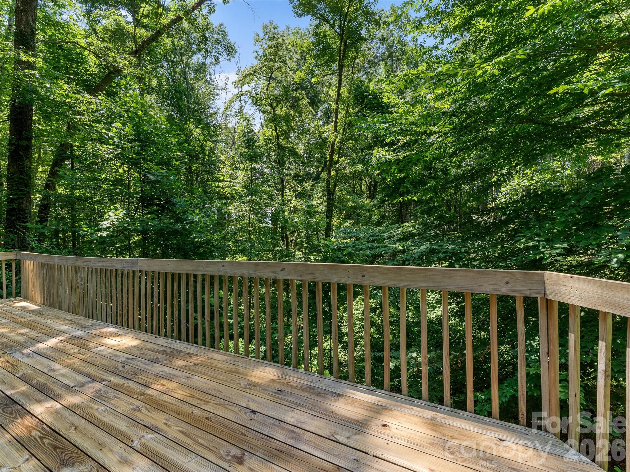 323 Burrell Mountain Road Brevard, NC 28712 - Photo 5 of 28