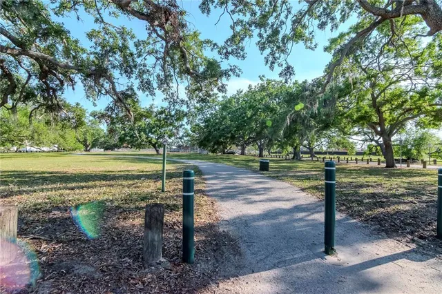 a view of a park with large trees