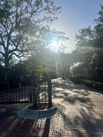 a view of a yard with plants and trees