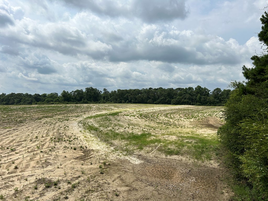 40.522-ac Cecil Varnum Road Dothan, AL 36301 - Photo 14 of 38