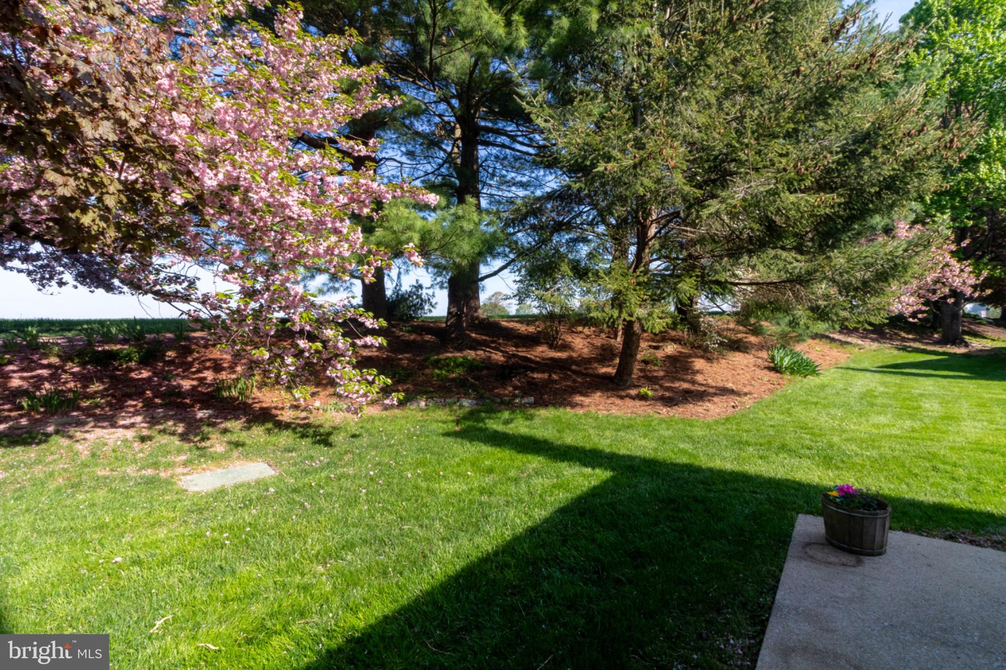 1849 Wexford Road Palmyra, PA 17078 - Photo 7 of 44 Serene garden with blooming trees.
