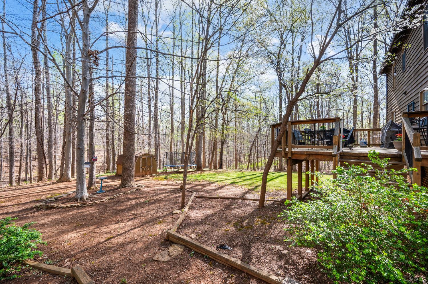 167 Regal Oaks Way Amherst, VA 24521 - Photo 32 of 45