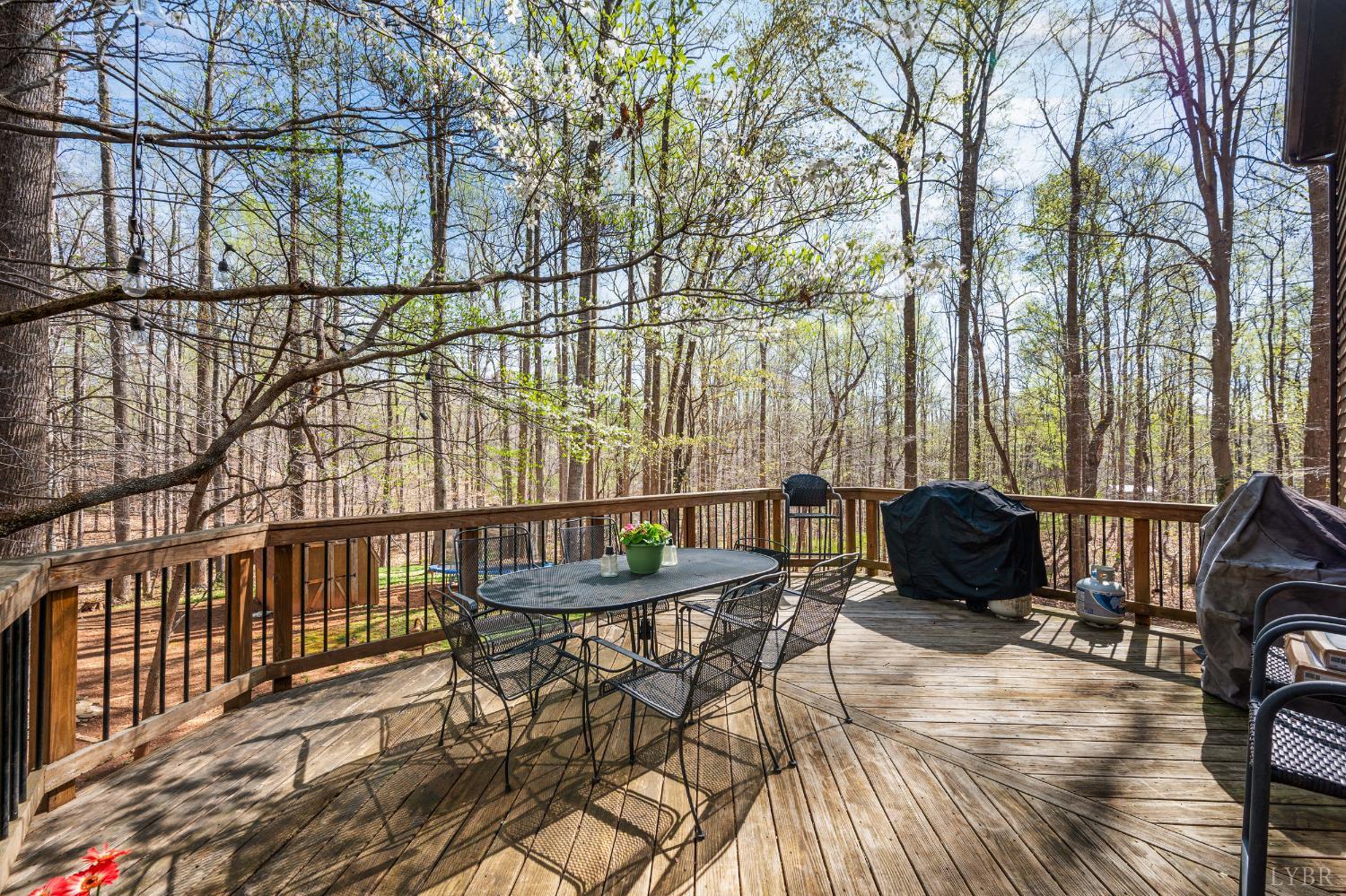 167 Regal Oaks Way Amherst, VA 24521 - Photo 33 of 45