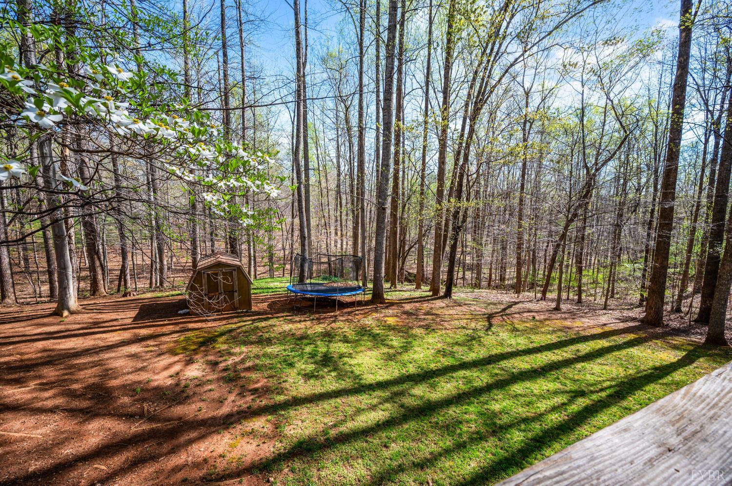 167 Regal Oaks Way Amherst, VA 24521 - Photo 35 of 45