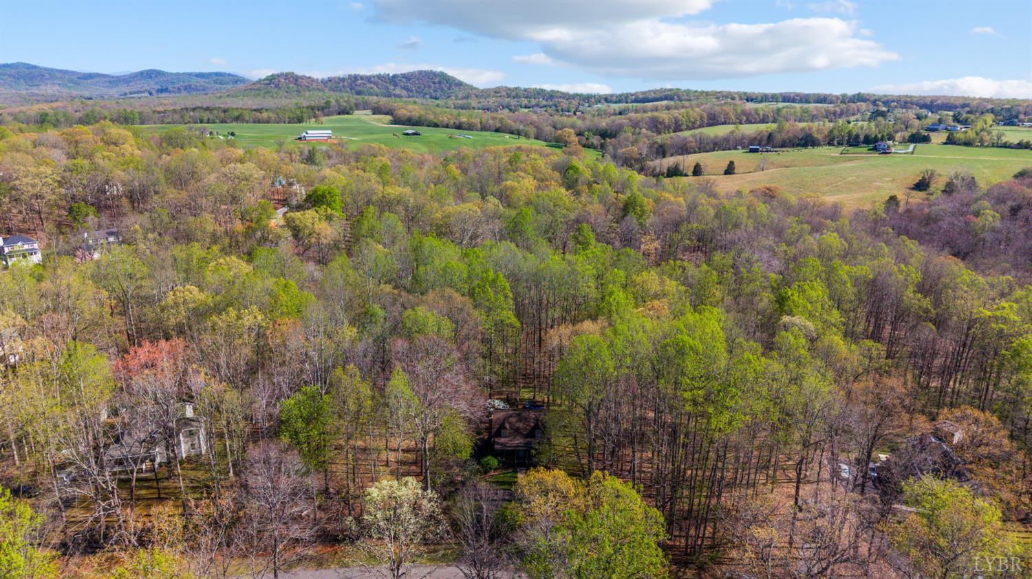167 Regal Oaks Way Amherst, VA 24521 - Photo 40 of 45