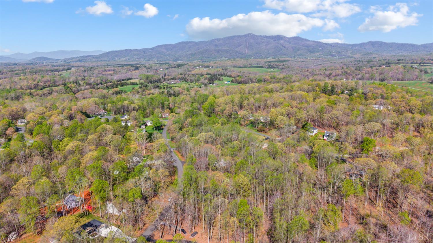 167 Regal Oaks Way Amherst, VA 24521 - Photo 41 of 45