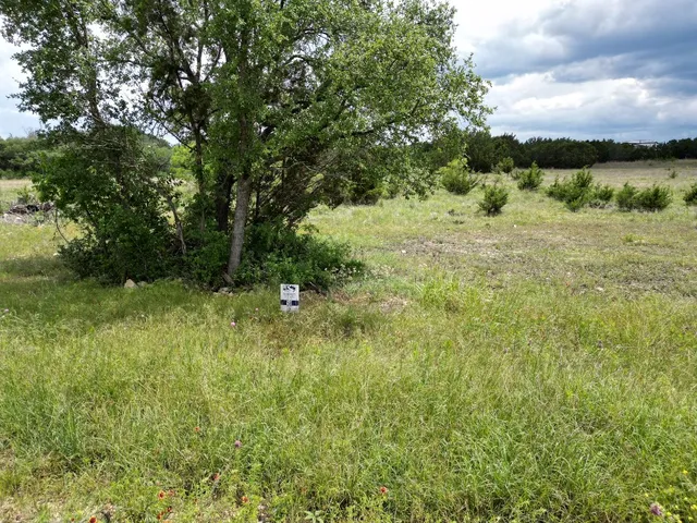 a view of a lush green space