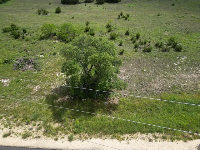 a view of a dry yard