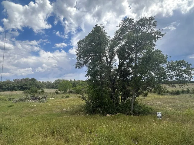 a view of a field of grass and trees