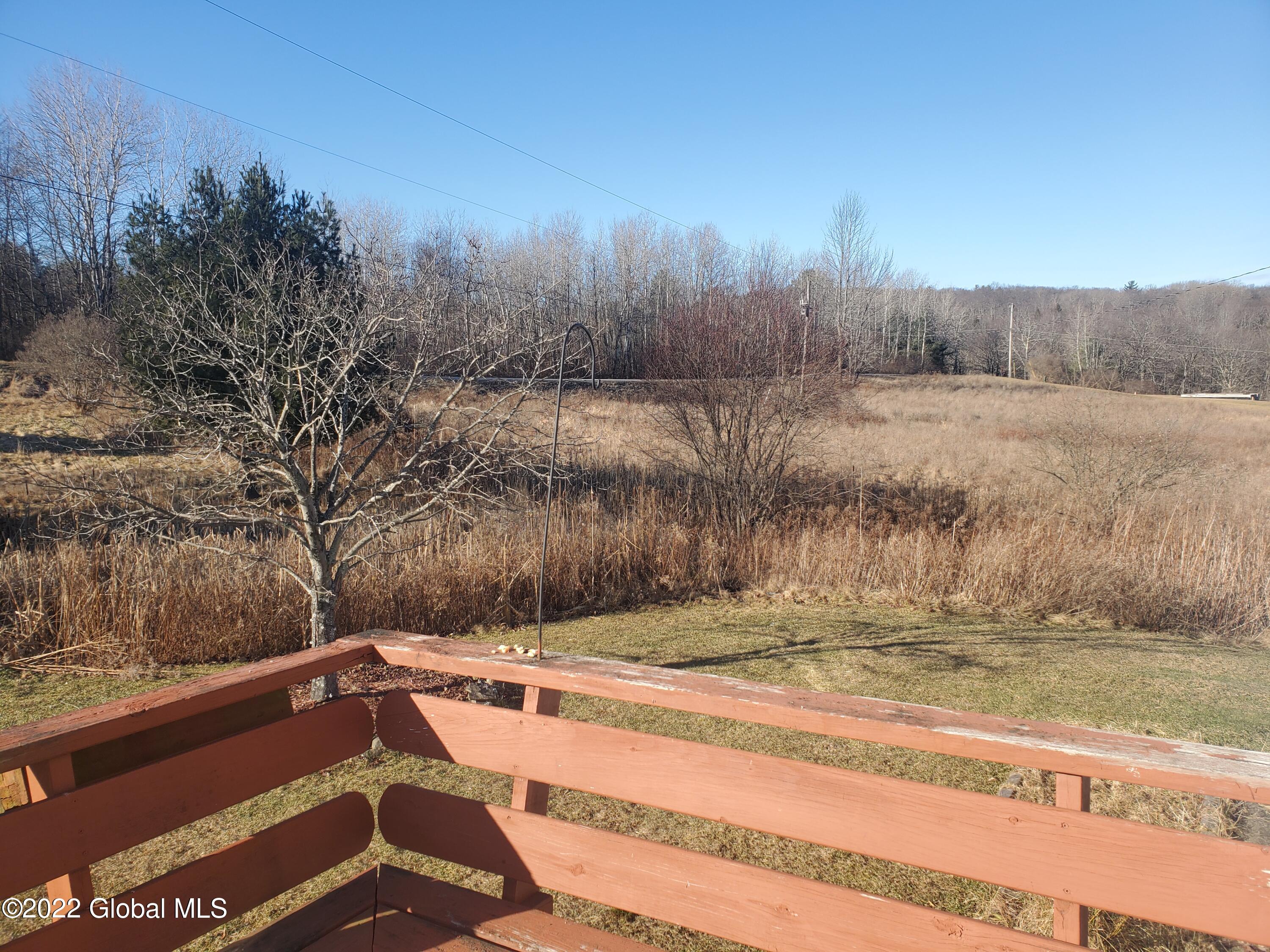 318 Hunt Road Westerlo, NY 12193 - Photo 5 of 24 View From Front