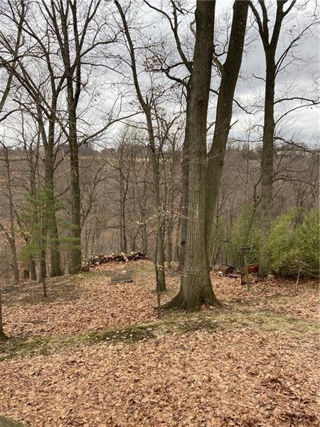 1157 Harvard Road Monroeville, PA 15146 - Photo 6 of 19 Gallery Image 6