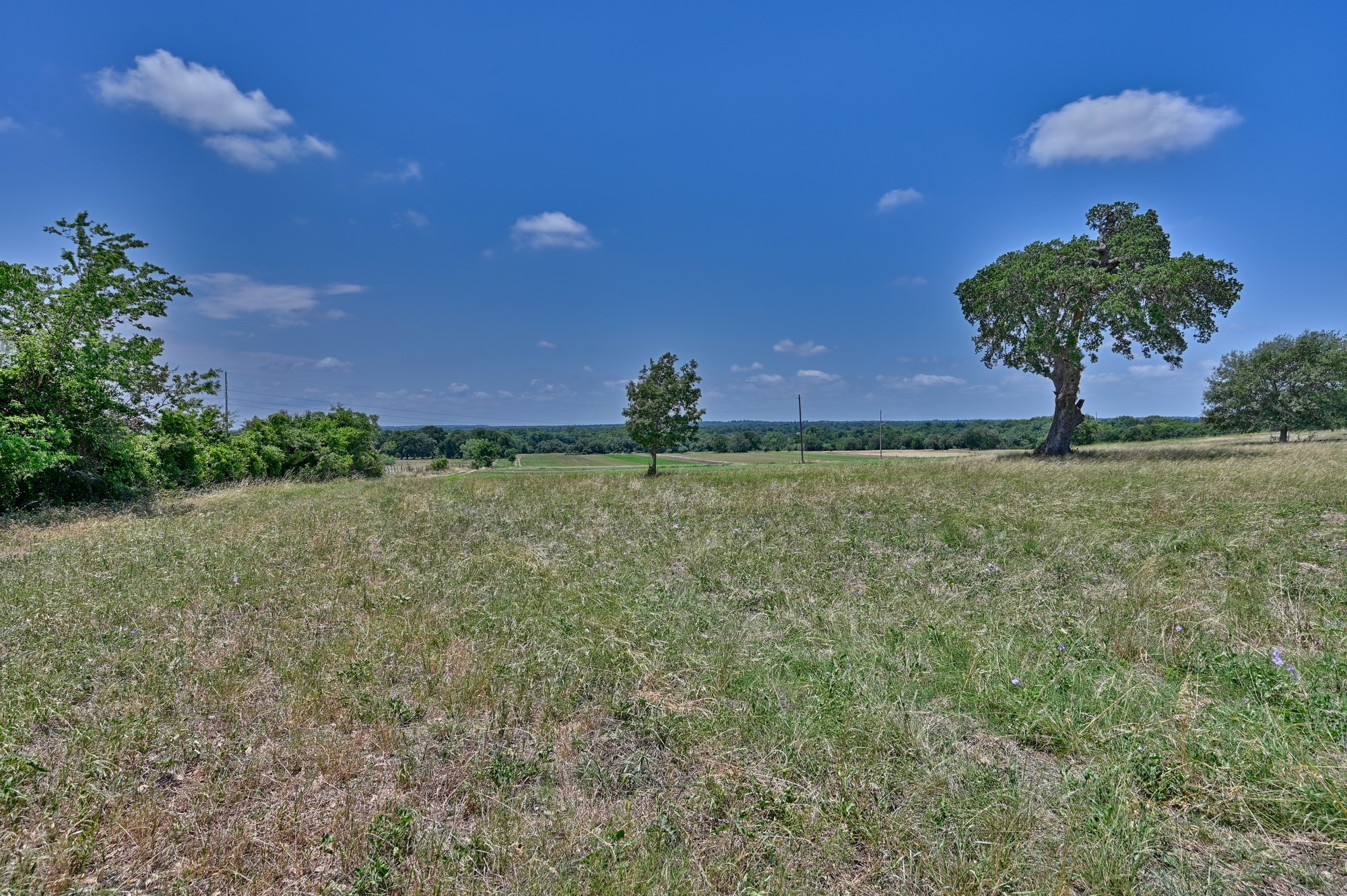0 Kovar Road Fayetteville, TX 78940 - Photo 11 of 28