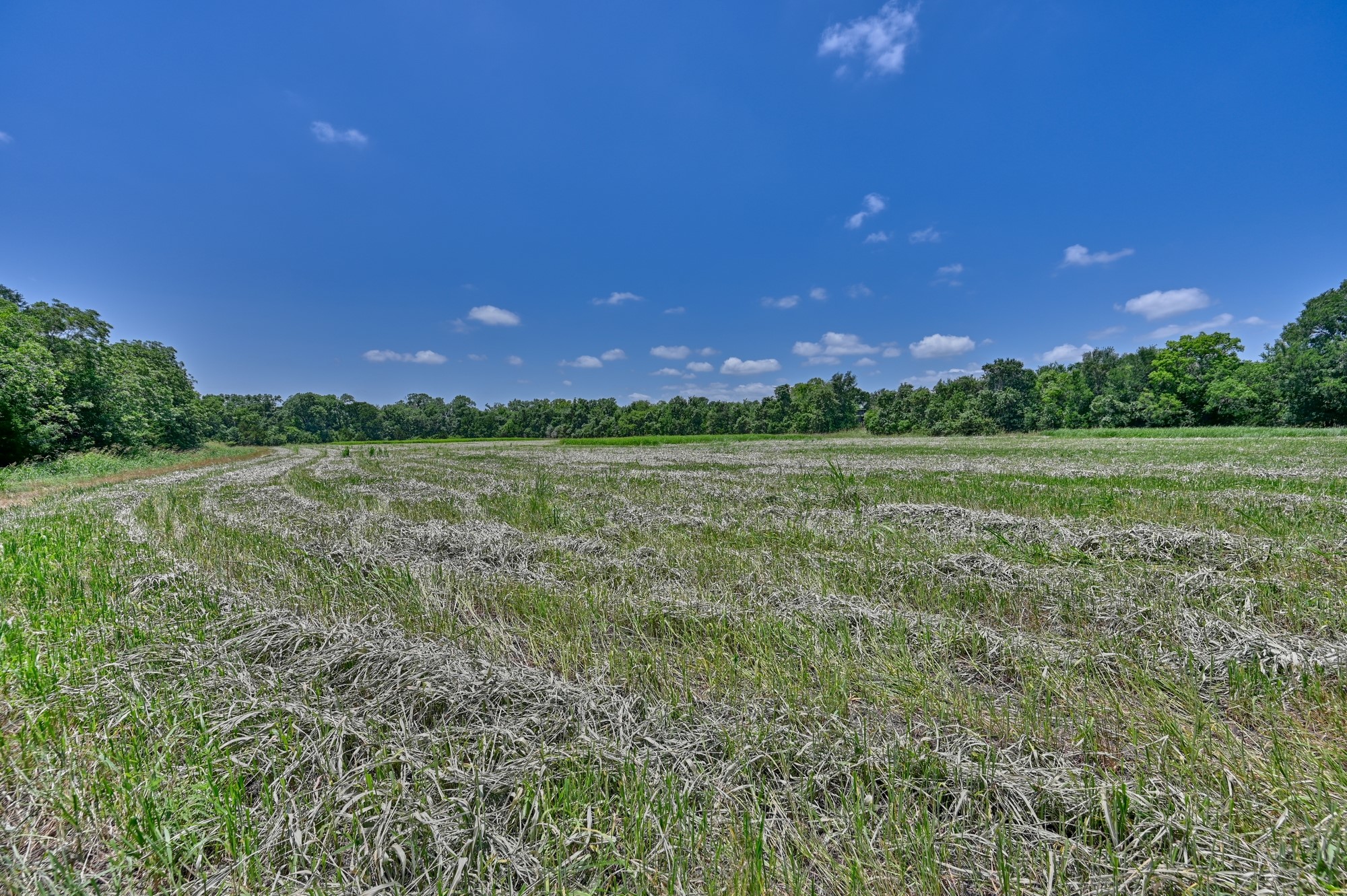 0 Kovar Road Fayetteville, TX 78940 - Photo 12 of 28