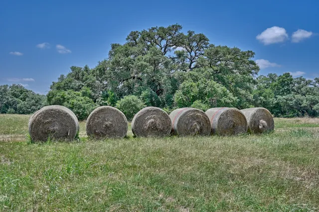 $666,455 | 0 Kovar Road, Fayetteville, TX 78940