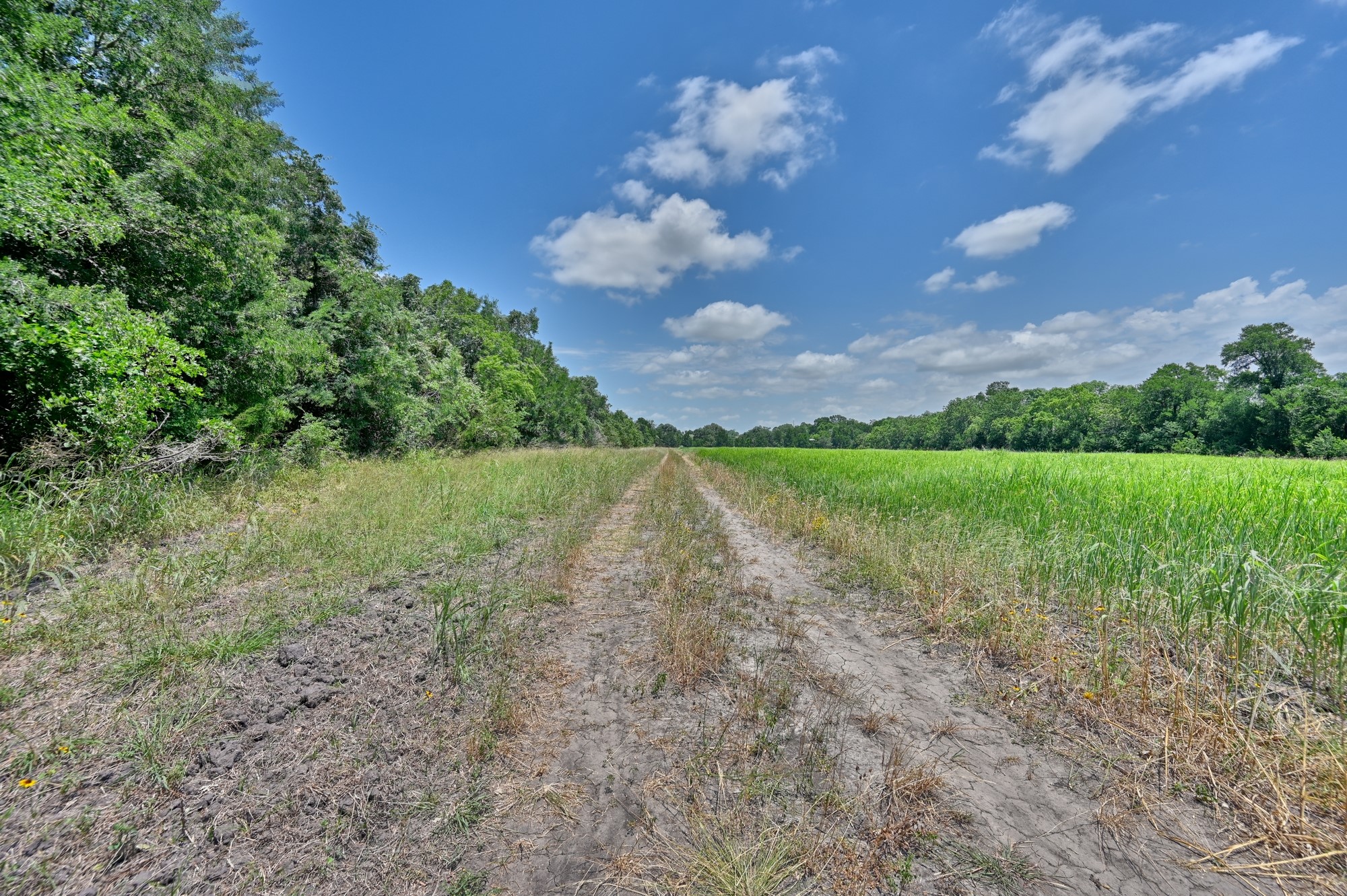 0 Kovar Road Fayetteville, TX 78940 - Photo 27 of 28