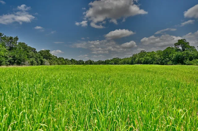 $666,455 | 0 Kovar Road, Fayetteville, TX 78940