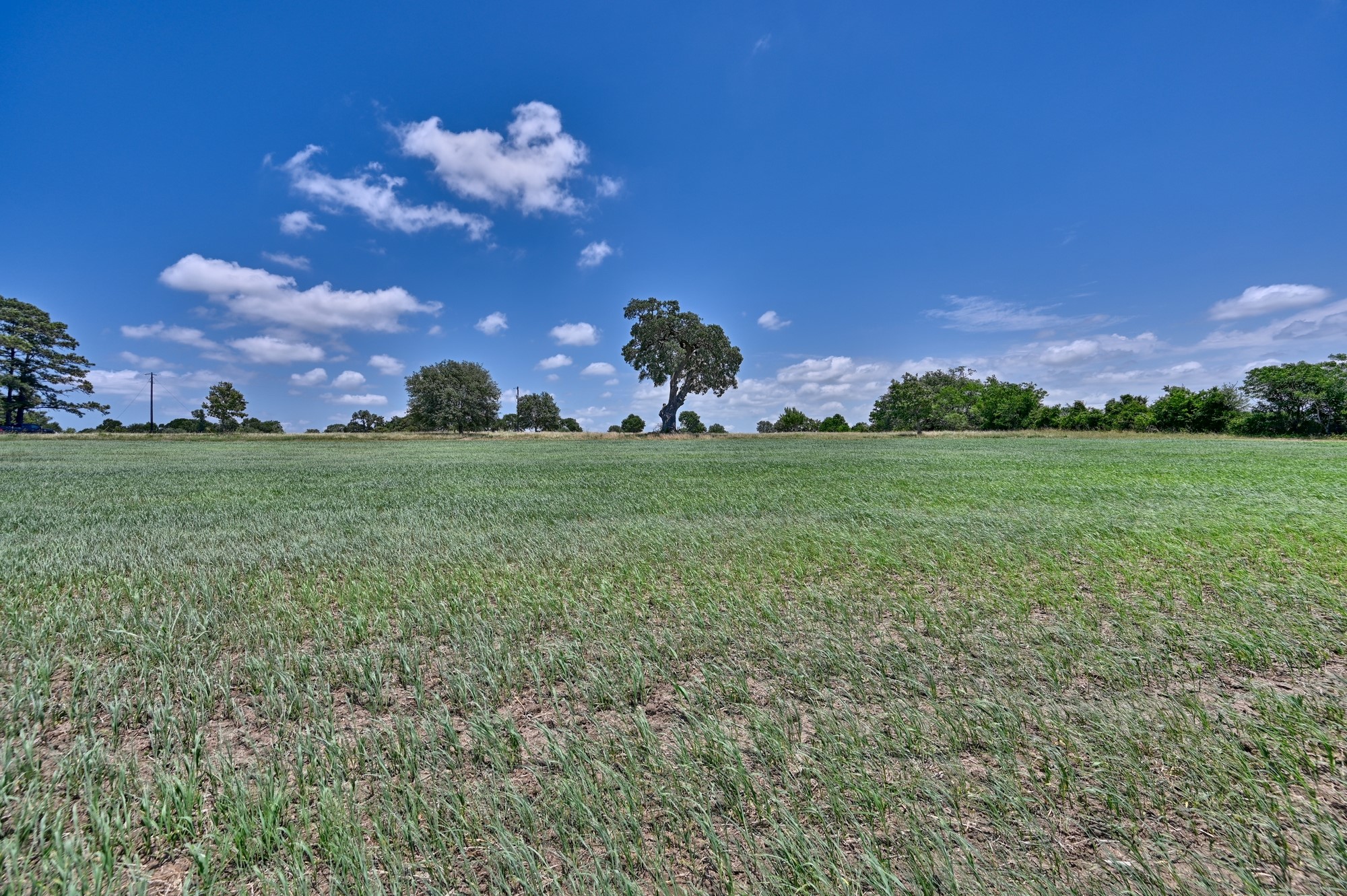 0 Kovar Road Fayetteville, TX 78940 - Photo 9 of 28