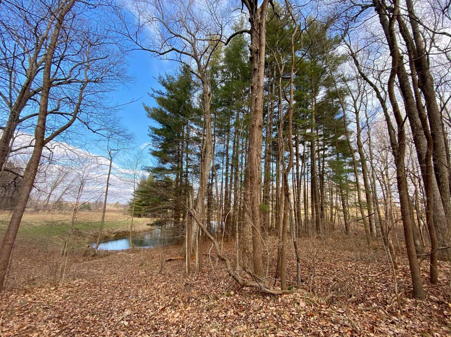 6597 South Ott Road Connersville, IN 47331 - Photo 48 of 62