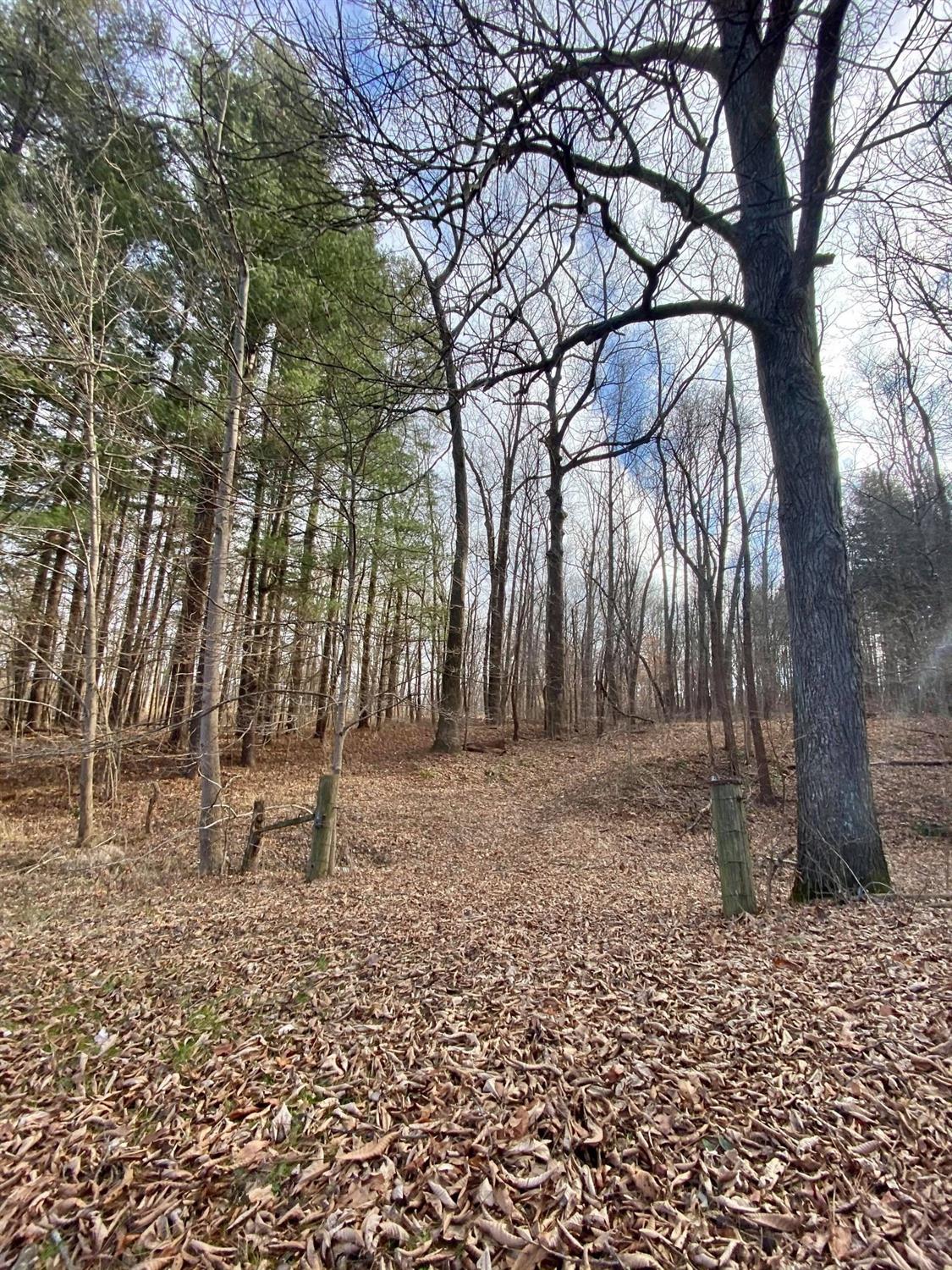 6597 South Ott Road Connersville, IN 47331 - Photo 49 of 62