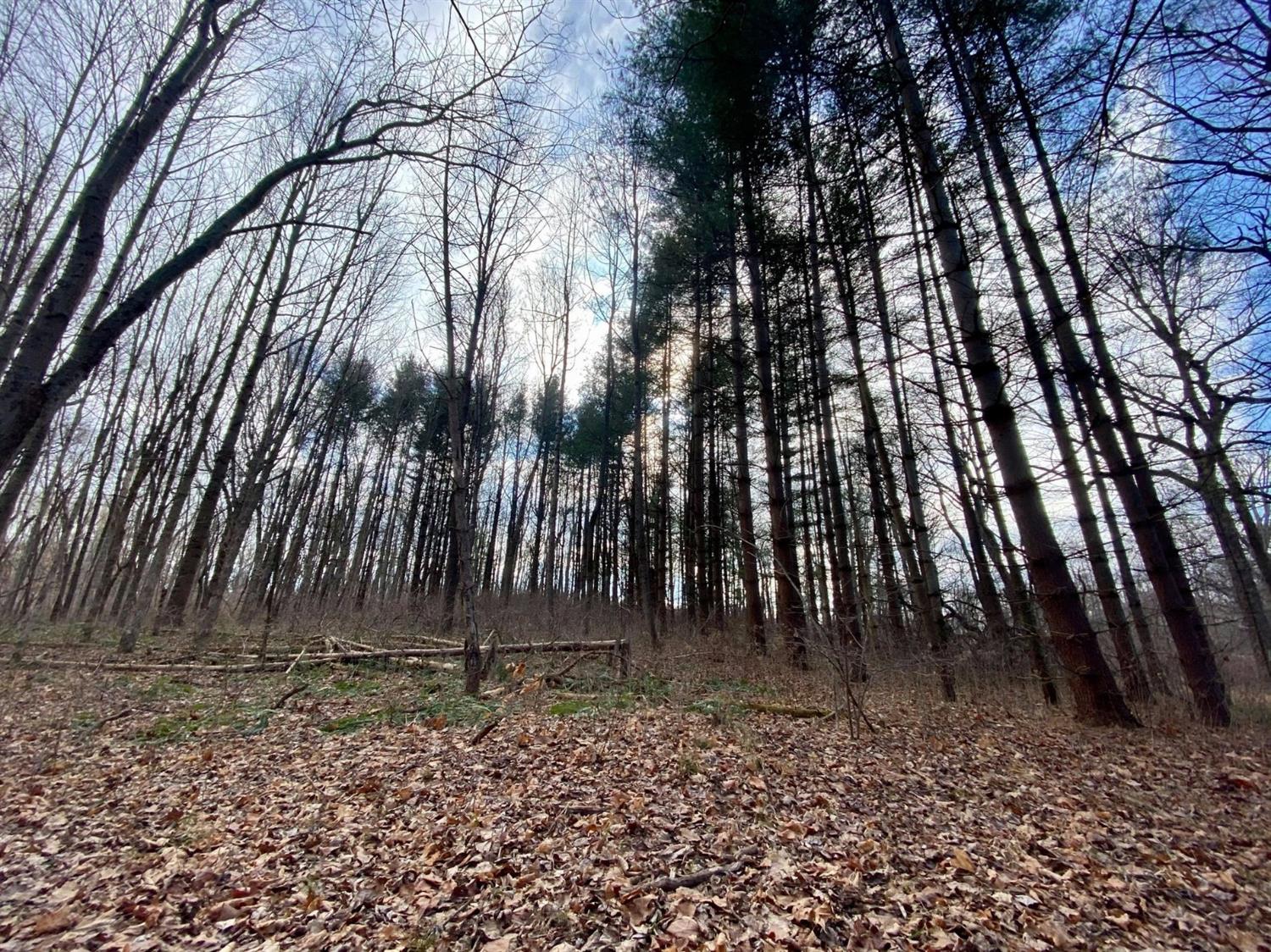 6597 South Ott Road Connersville, IN 47331 - Photo 52 of 62