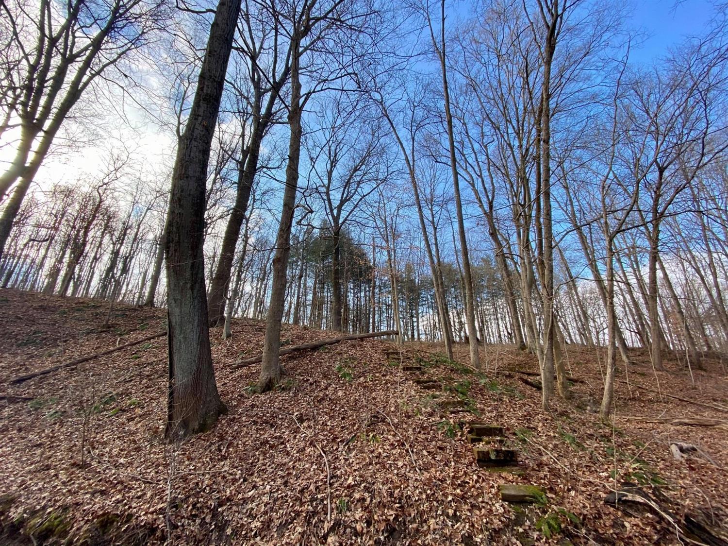 6597 South Ott Road Connersville, IN 47331 - Photo 54 of 62