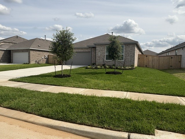 26419 Virginia Wild Rye Lane Katy, TX 77493 - Photo 3 of 31 This photo showcases a modern single-story brick home with a neatly manicured lawn and young trees. The house features a two-car garage and is situated in a suburban neighborhood with similar homes. The sky is clear, adding to the inviting atmosphere.