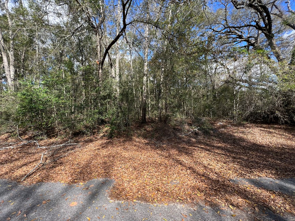 0 5th Avenue Geneva, AL 36340 - Photo 2 of 6